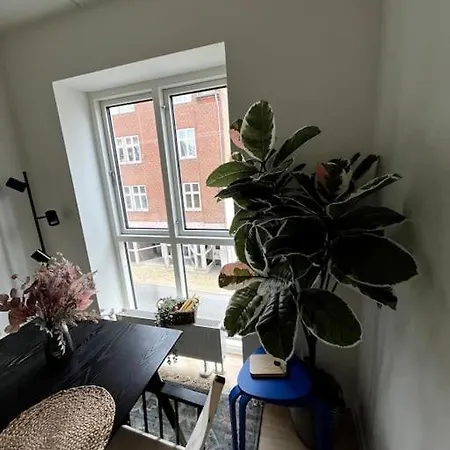 Moderne Lejlighed I Hjertet Af C Apartment